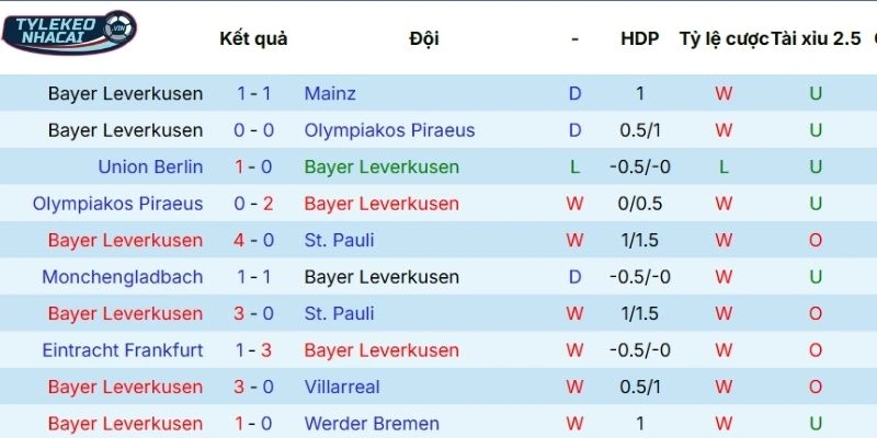 Dấu ấn tranh tài của Bayer Leverkusen